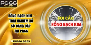 Rồng Bạch Kim